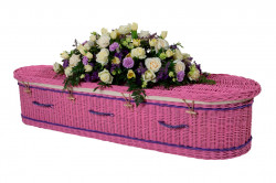Painted Willow Coffin