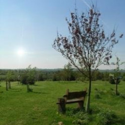 Green Burials, Natural Burials & Woodland Burials