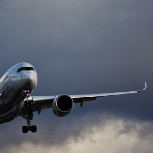 International Repatriation